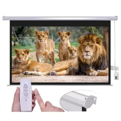 Motorized Projector Screen 7×7 Feet