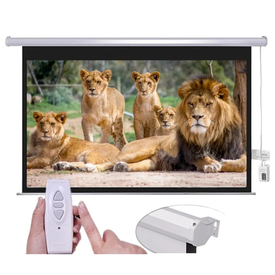 Motorized Projector Screen 7×7 Feet